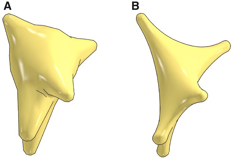 Fig. 7.