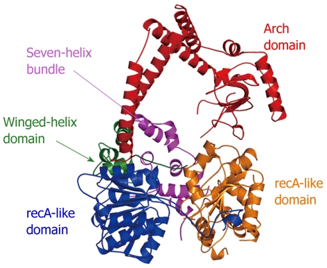 Figure 11