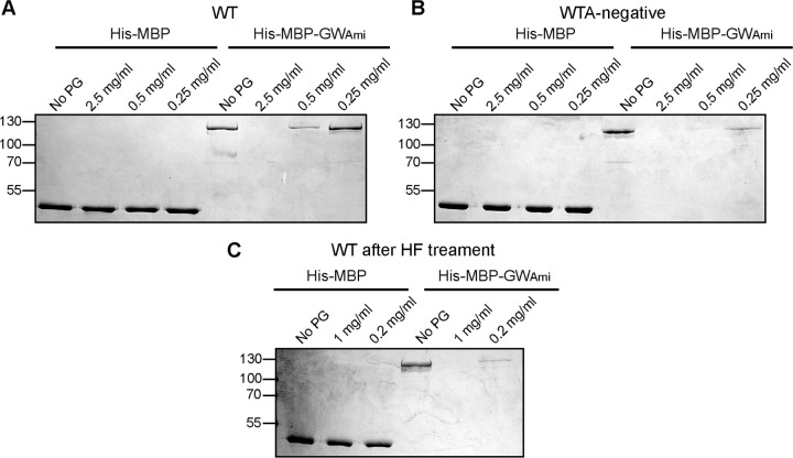 FIG 9