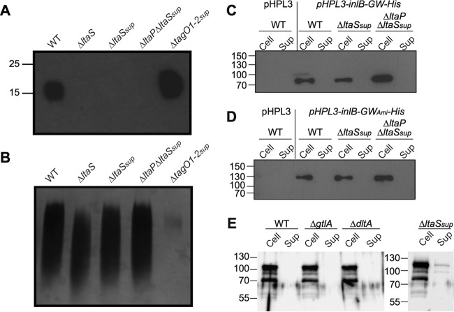 FIG 6