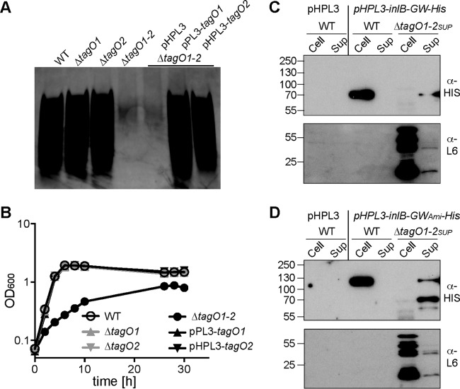 FIG 7