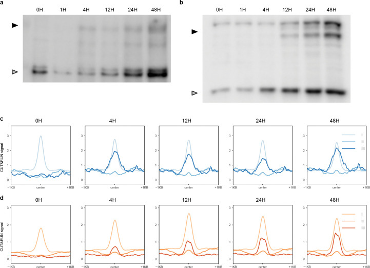 Extended Data Figure 3: