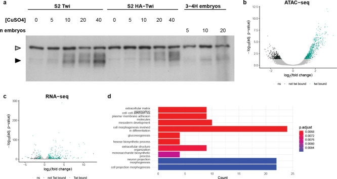 Extended Data Figure 4: