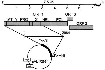 FIG. 1