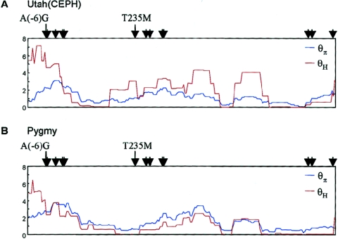 Figure  6