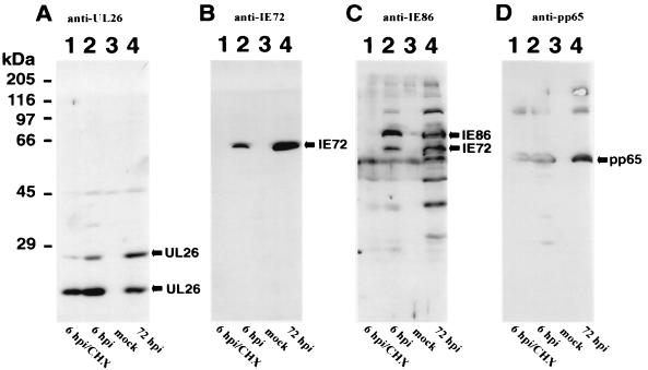 FIG. 10.