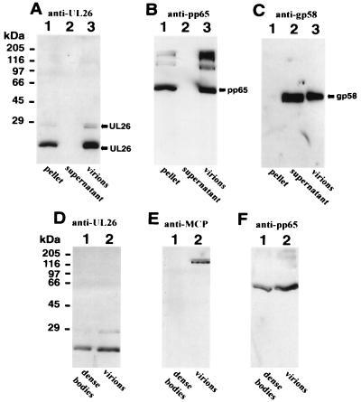 FIG. 9.