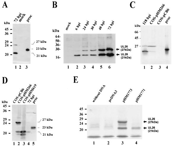 FIG. 6.