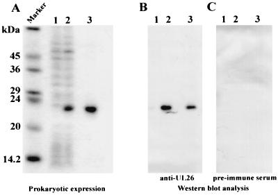 FIG. 5.