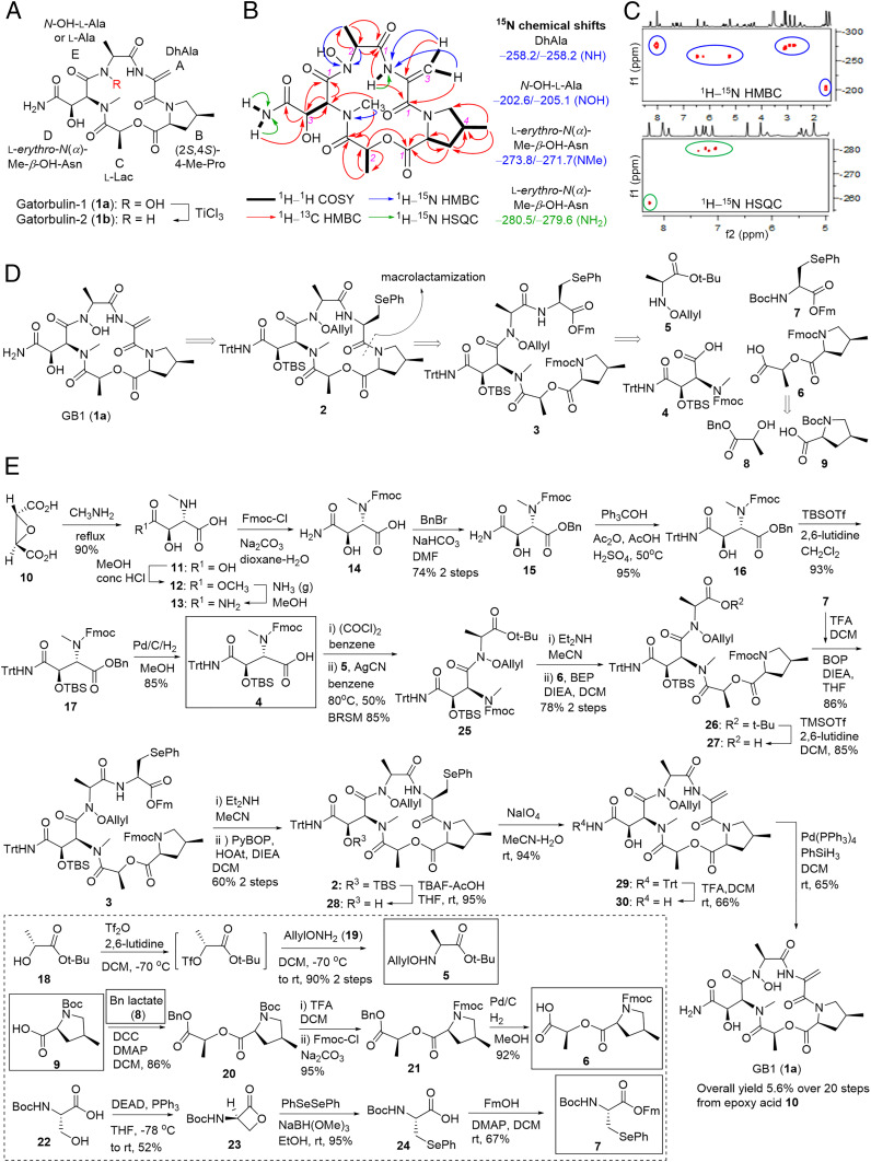 Fig. 2.