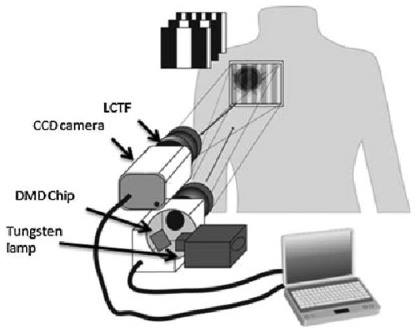 Fig. 2