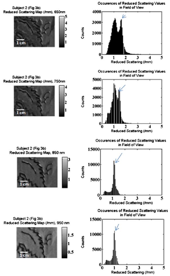 Fig. 10