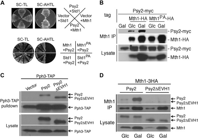 FIG 1