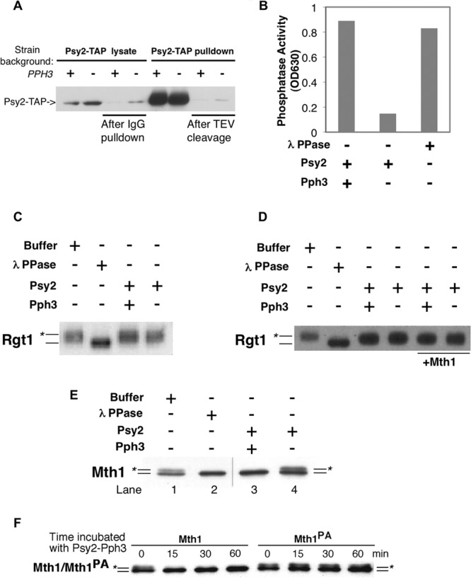 FIG 4