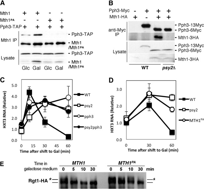 FIG 3