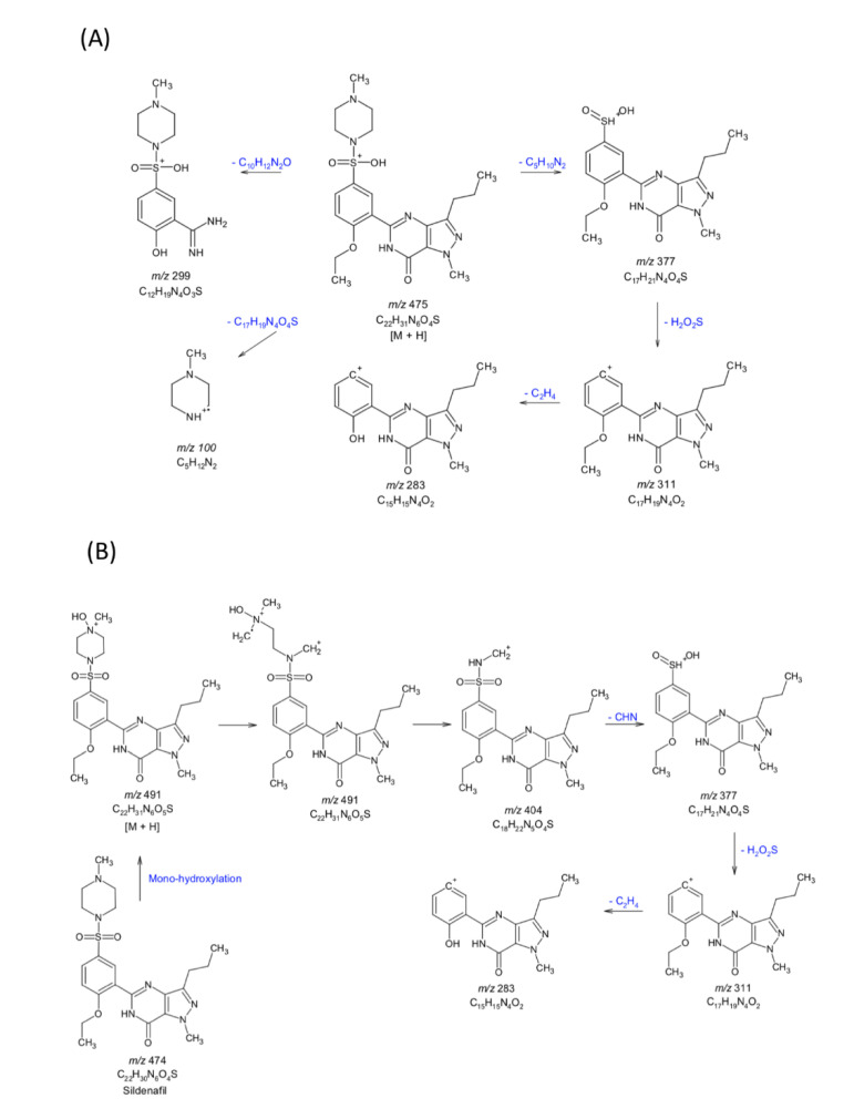 Figure 7