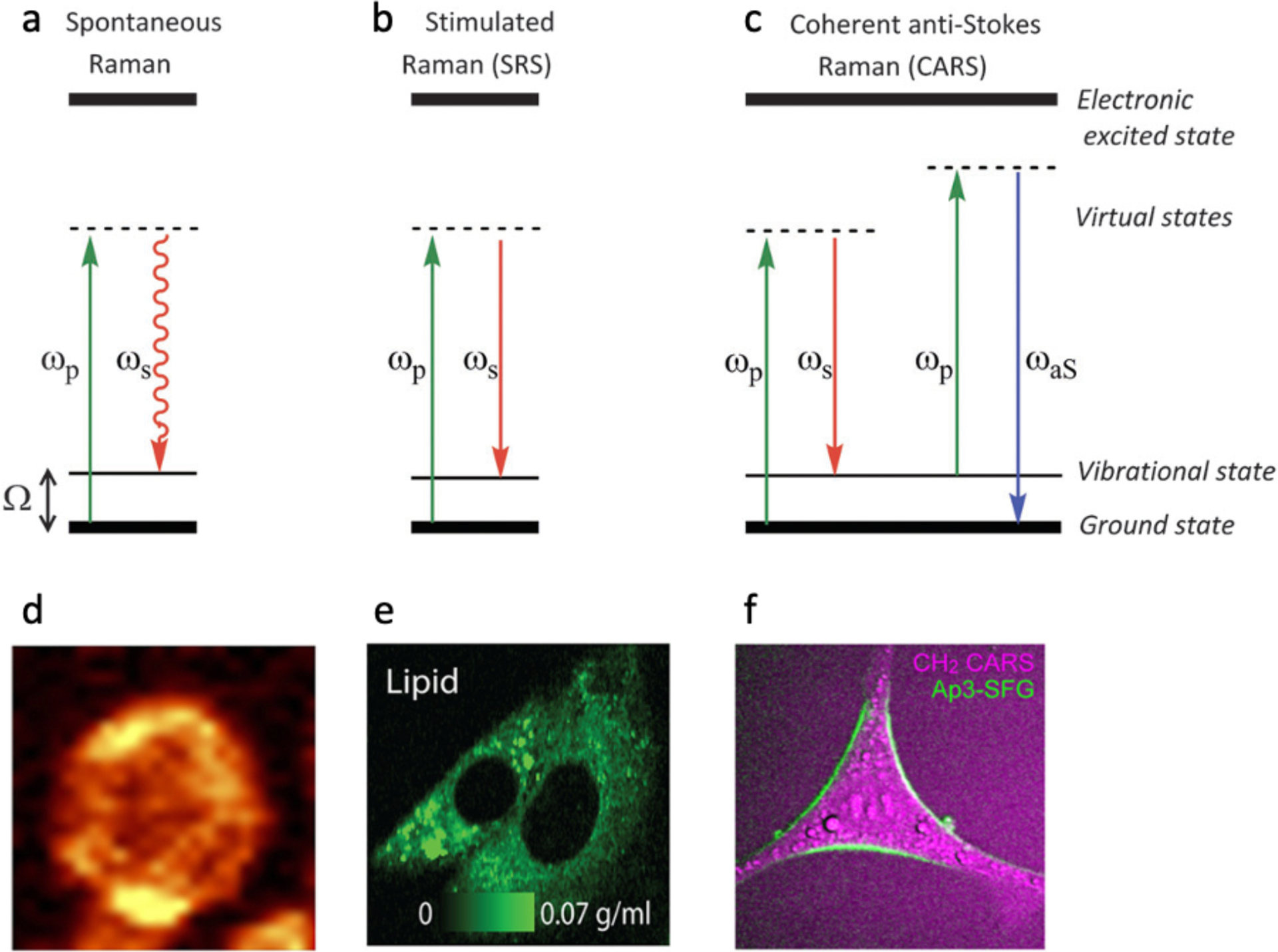 Figure 2.