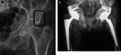 Fig. 6