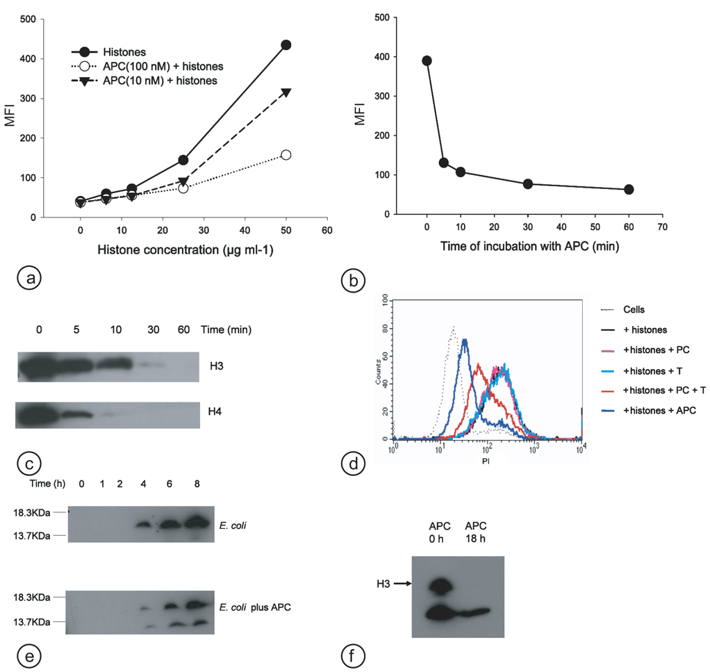 Fig.2