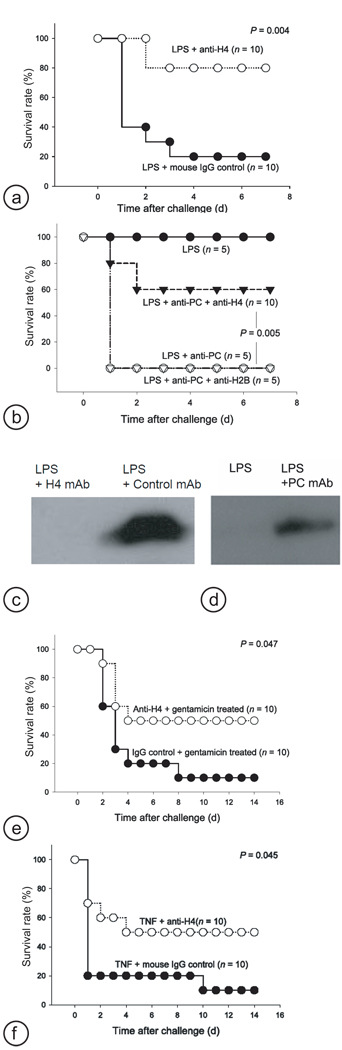 Fig.4