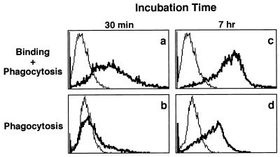 FIG. 6