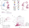 Figure 6. Evaluation of M+2+6− cells in scRNA-seq data sets of DLBCL. A, Uniform manifold approximation and projection (UMAP) of malignant B cells from the Roider and Steen cohorts. B, Proportion of subpopulations across samples and annotation of M+2+6− cells in UMAP. C, Correlation of genes enriched in the M+2+6− subpopulation as evaluated by scRNA-seq with hits from the bulk GEP cohorts (Fig. 5E). CCND2 is highlighted and is among the concordant hits (see also Supplementary Table S13). D, WikiPathways terms enrichment among genes positively associated with M+2+6− cells. Both axes in C and D are scaled exponentially for clarity (see also Supplementary Table S14).