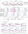 Figure 4. Validation of prognostic significance of the M+2+6− subpopulation metric in gene-expression data sets. A, Distribution of single oncogene positivity in DLBCL cohorts as assessed by mfIHC (see Supplementary Fig. S9A and S9B). B, Impact of subpopulation metrics in GEP data sets on OS. Pooled univariate Cox PH model analysis; metric was used as a continuous variable in the model at 5% increments. HR per 5% increment with 95% CI is shown; CI are proportional on both tails but are capped at the graph's edges. Pooled P values were Bonferroni corrected to adjust for multiple testing and are shown for each subpopulation. C, Kaplan–Meier OS analysis of GEP cohorts stratified uniformly across absolute 15% M+2+6− metric into -high and -low groups. Log-rank test, shading denotes 95% CI. Total patient numbers in each group are shown.