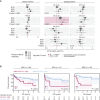 Figure 2. Prognostic significance of subpopulations after R-CHOP therapy. A, Pooled univariate Cox PH model analysis for MYC, BCL2, and BCL6 single oncogene and subpopulations percentage extent as predictors of OS across multiple DLBCL cohorts. Percentage extent was used as a continuous variable in the model at 5% increments (see Survival analysis) for an unbiased comparison between the variables. Pooled P values were Bonferroni corrected for single oncogenes and subpopulations independently to adjust for multiple testing and are shown for each variable. Hazard ratio (HR) with 95% confidence interval (CI) per 5%-positivity increment is shown (see also Supplementary table S4). B, Kaplan–Meier OS analysis of dichotomized into M+2+6− high and low groups. Log-rank test, shading denotes 95% CI. An optimal dichotomization cutoff was used for stratification; total patient numbers in each group are shown.