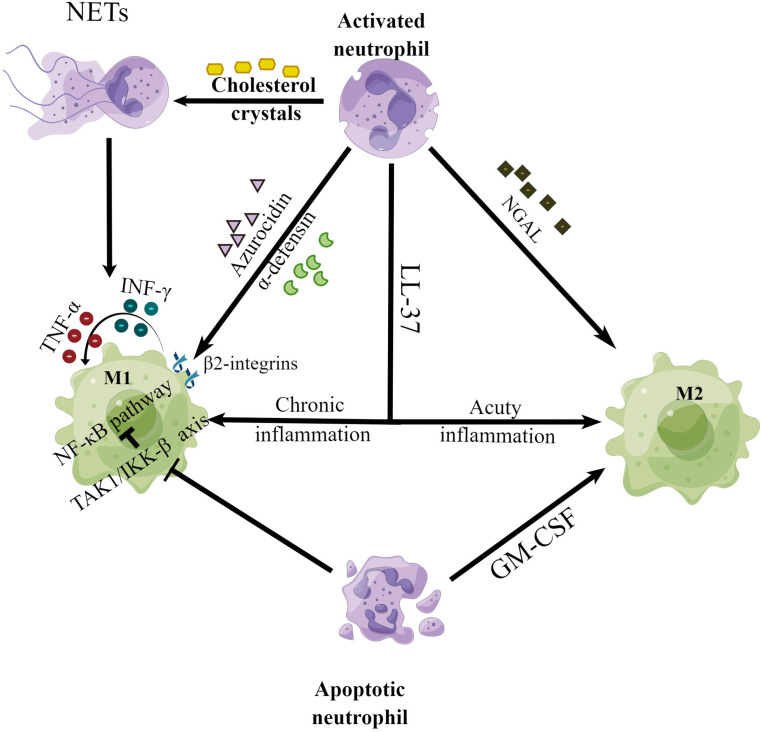 Figure 3.