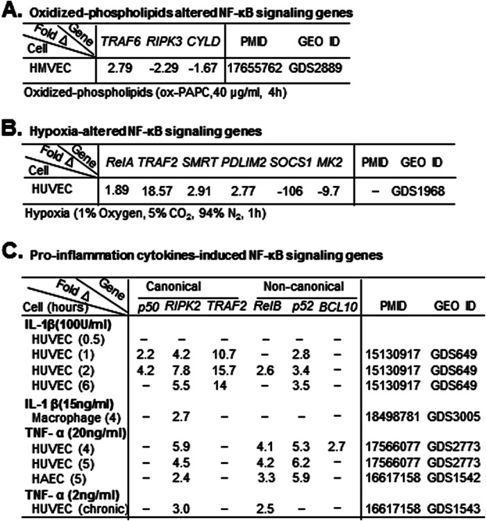 graphic file with name zbc023134807t003.jpg