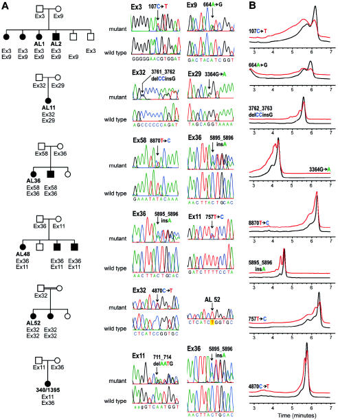 Figure  4