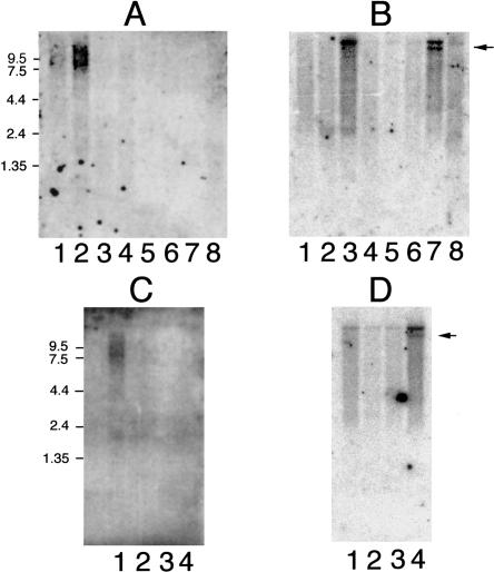 Figure  2