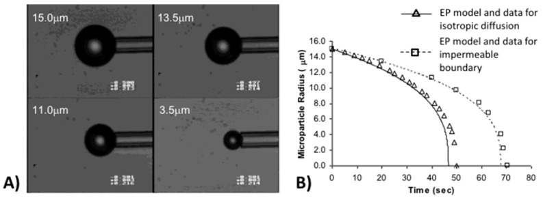 Figure 21