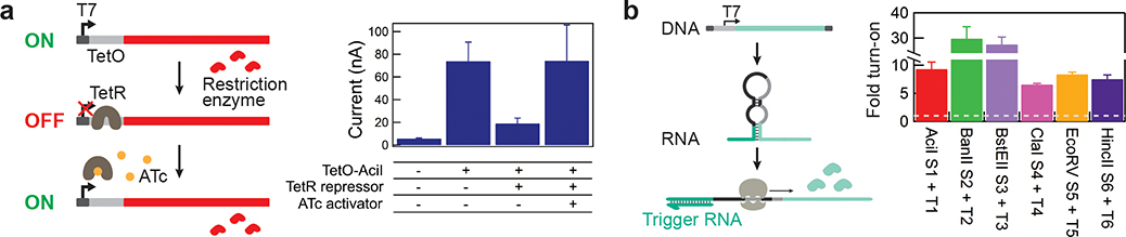 Figure 4.