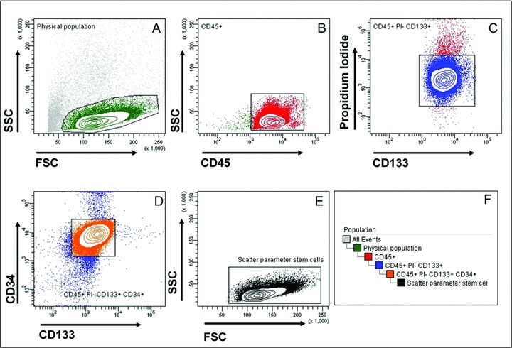 Fig 6