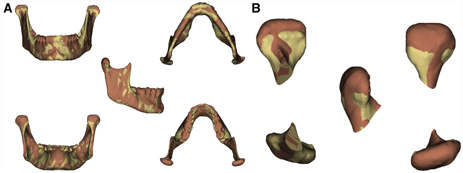 Fig 3.