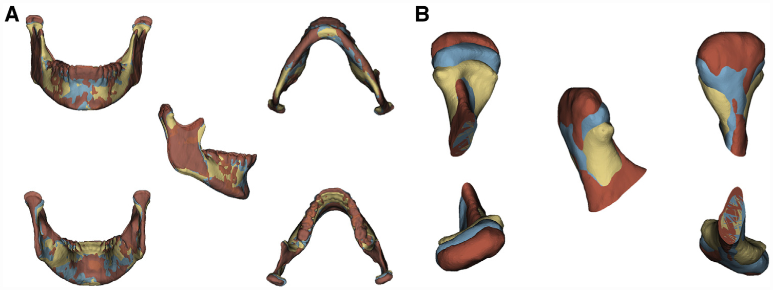 Fig 1.