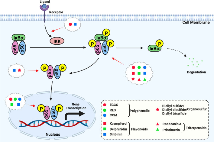 Figure 1