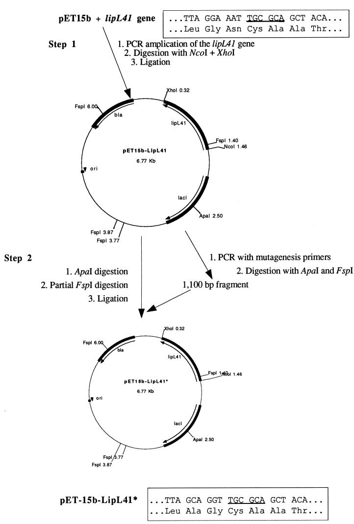 FIG. 1