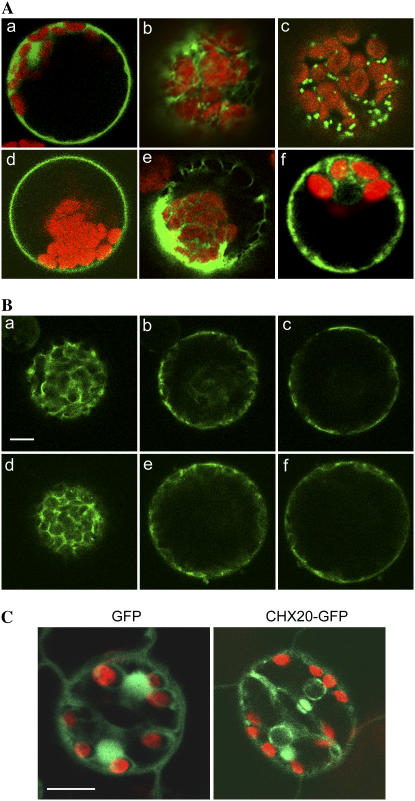 Figure 5.