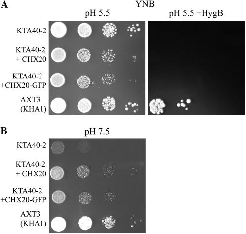 Figure 3.