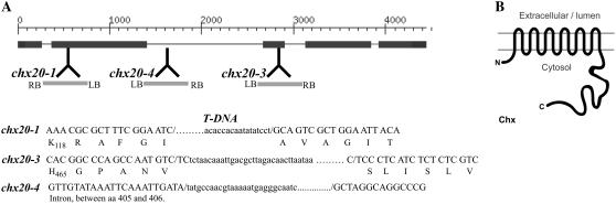 Figure 1.