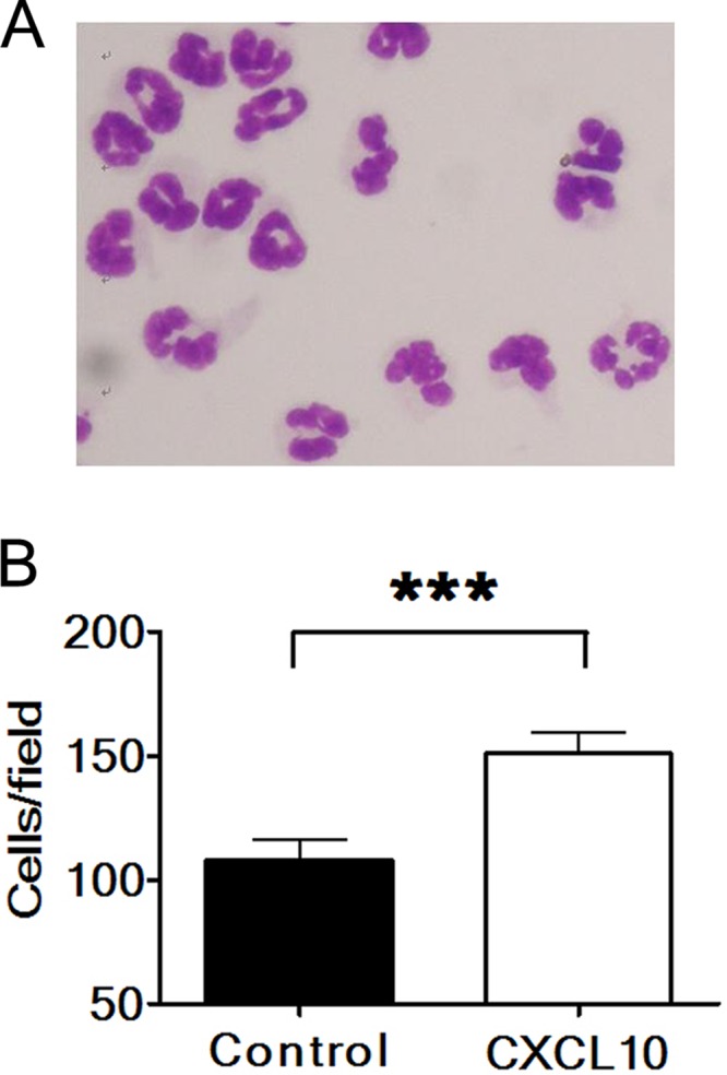 Fig 5