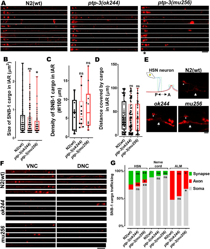 FIGURE 4: