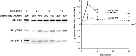 Fig. 9.