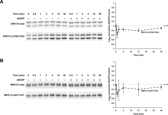 Fig. 10.