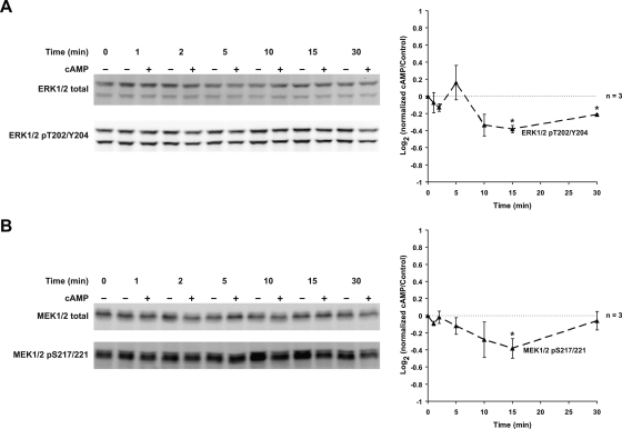 Fig. 11.