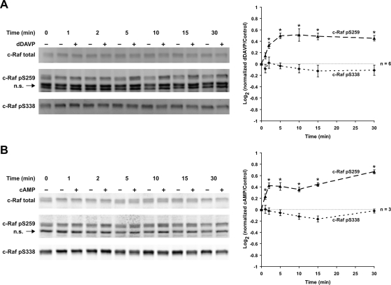 Fig. 14.