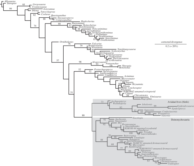 Figure 1.