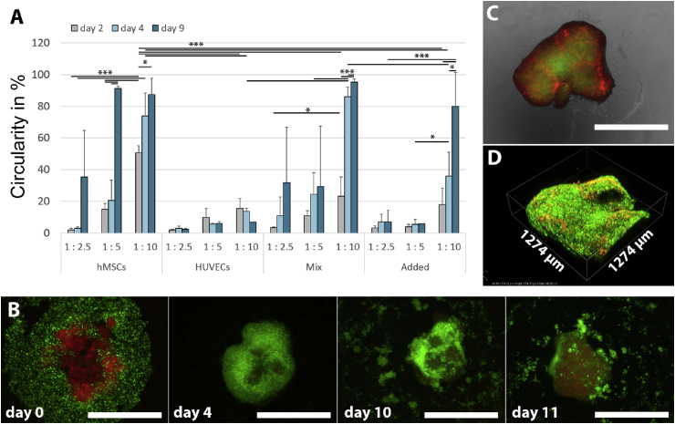 Fig. 4